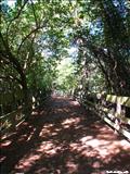 Piñones Boardwalk - LOÍZA